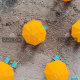 demo-attachment-23-annie-spratt-487181-unsplash