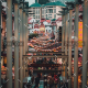demo-attachment-46-lily-lvnatikk-253648-unsplash