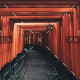 demo-attachment-58-tianshu-liu-395929-unsplash